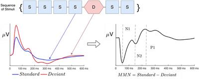 Neural field theory of adaptive effects on auditory evoked responses and mismatch negativity in multifrequency stimulus sequences